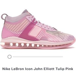 Nike Shoes- Lebron Icon x John Elliot